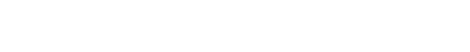 Fein Balancer