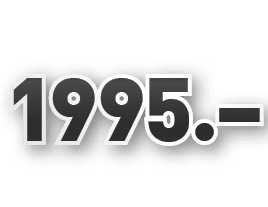 1995.–