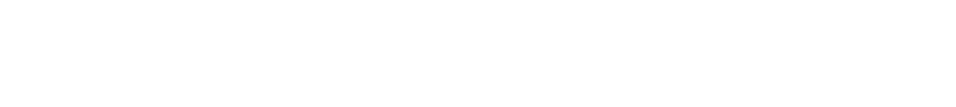 FLEX Winkelschleifer