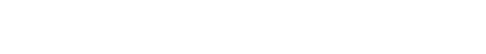 Fein Multimaster
