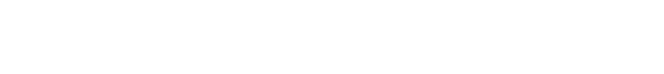 Bosch Hobel