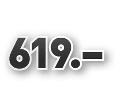 619.–