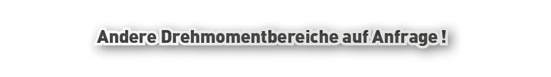 Andere Drehmomentbereiche auf Anfrage !