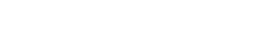 FEIN Geradschleifer