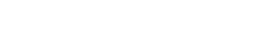 Homa Tauch und Tiefbrunnenpumpen 