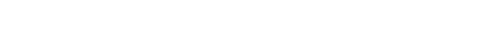 ACTION KRAFT STECKSCHL SSELEINSATZ 1/2\“