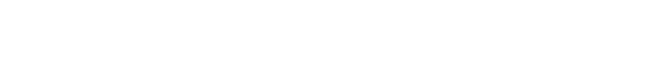 Action Kraft steckschl sseleinsatz 3/4\“