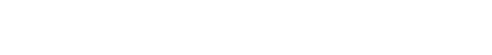 Fein Winkelschleifer