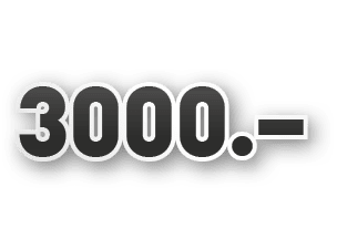 3000.–